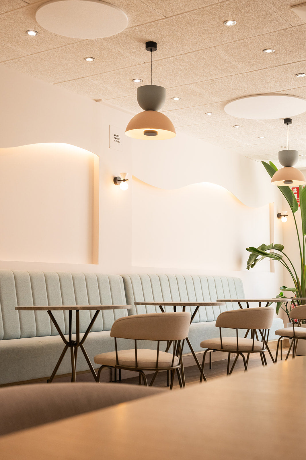 Somnis_cafeteria-9.jpg
